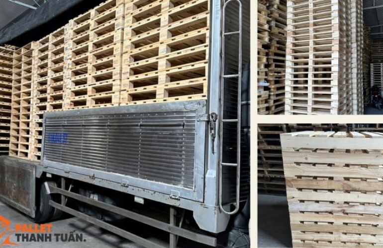 ISPM 15 là gì? Tìm hiểu quy định đóng dấu và xử lý pallet gỗ